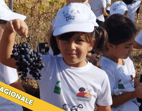 giochiamo alla vendemmia